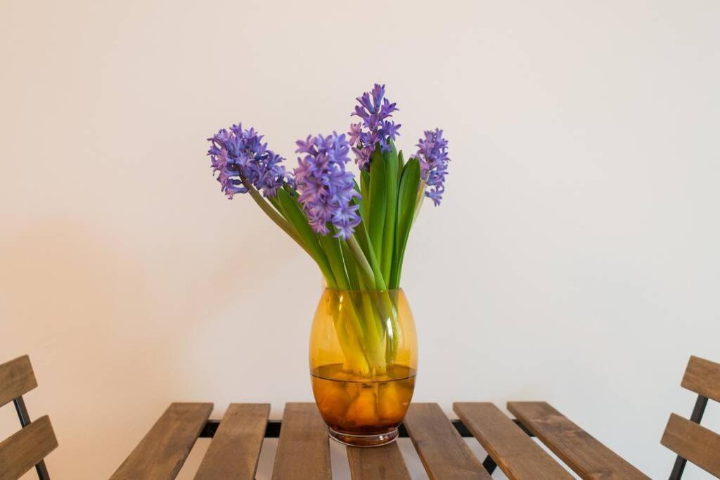 Charming Apartment In City Center Amsterdam Ngoại thất bức ảnh